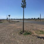 Lots de Terrain pour villas à partir de 2.776.800 DH / Akenza / Marrakech