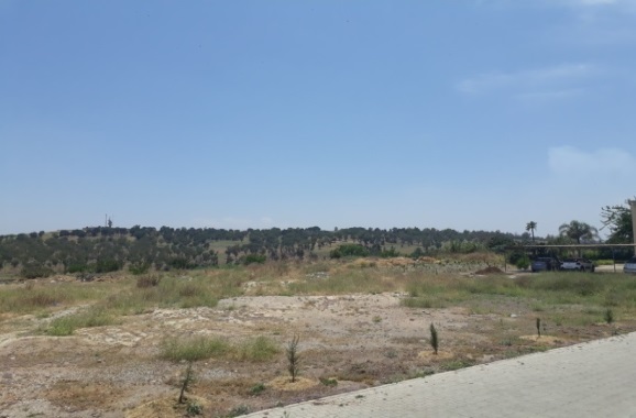 Terrains / Batha / Fès