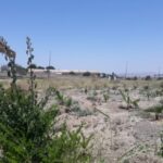 Terrains / Batha / Fès