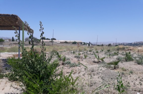 Terrains / Batha / Fès