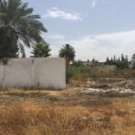 ارض لا ينبغي تفويتها / فاس