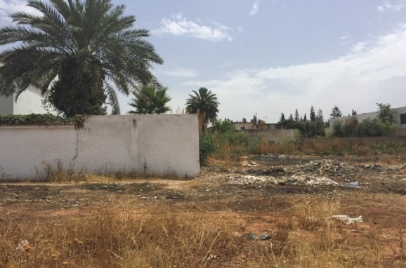 ارض لا ينبغي تفويتها / فاس