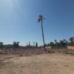 قطع ارضية للبيع / مراكش