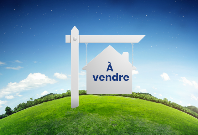 Locaux commerciaux à vendre
