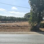 Terrain Agricole à vendre à Benslimane