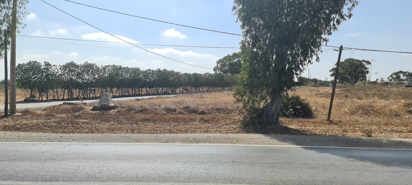Terrain Agricole à vendre à Benslimane