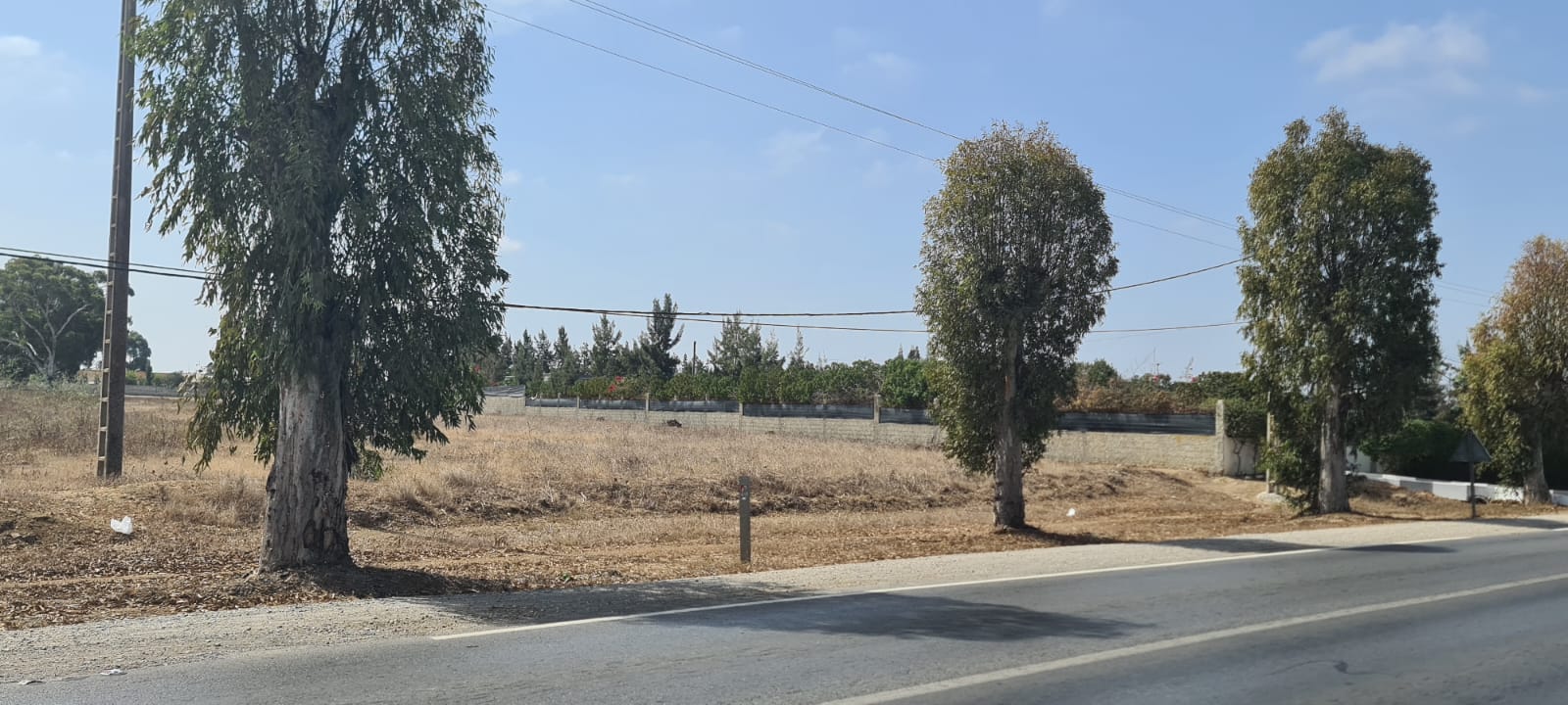 Terrain Agricole à vendre à Benslimane