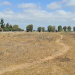 Terrain Agricole à vendre à Benslimane